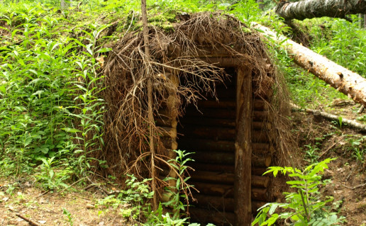 11_Partizanų žeminės (1). Autorė N. Ribokaitė.jpg